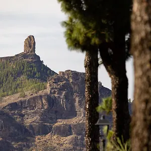 Casa Maria With Roque Nublo View Appartement