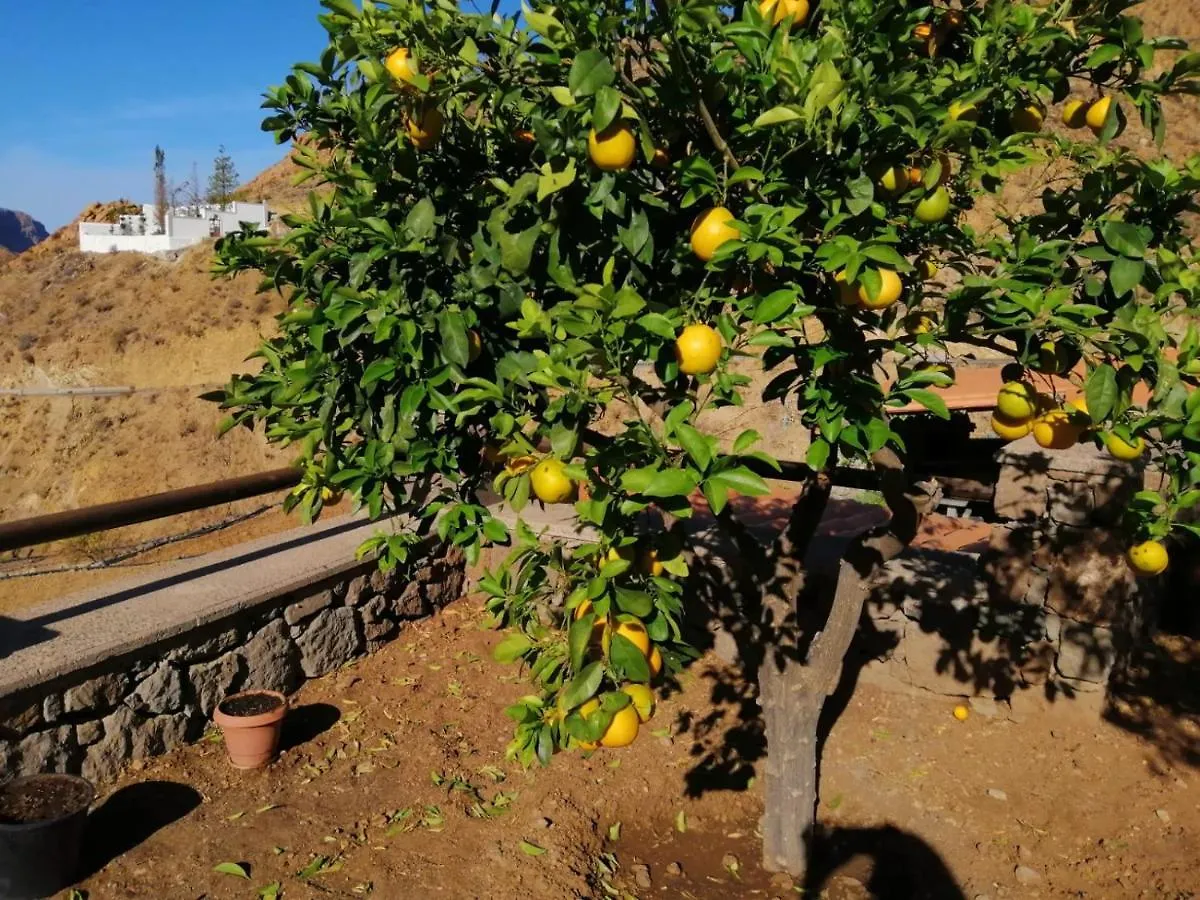 Hébergement de vacances Villa Casa Rural La Solana à Tejeda  Espagne